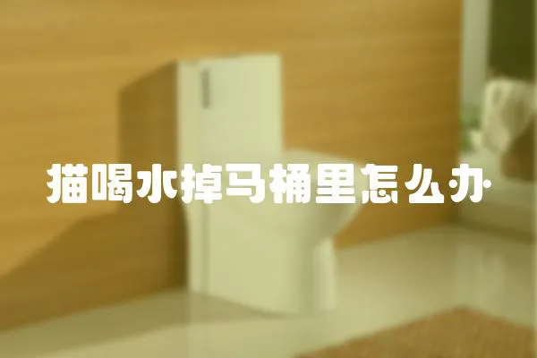 貓喝水掉馬桶里怎么辦