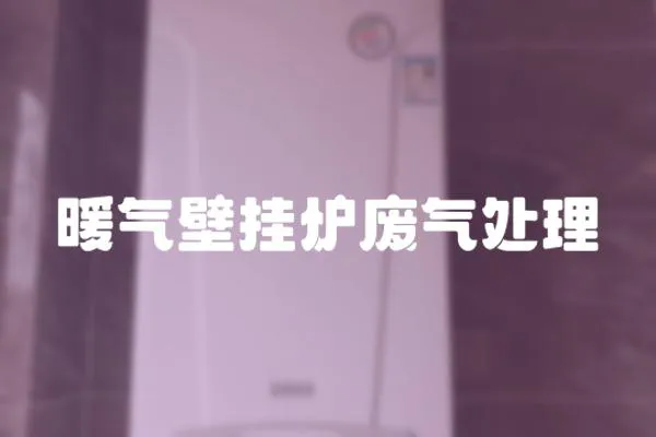 暖氣壁掛爐廢氣處理