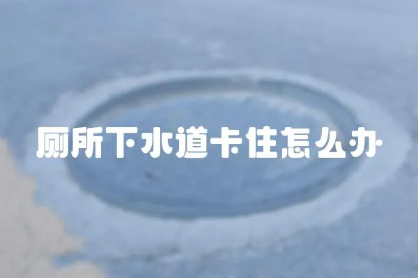 廁所下水道卡住怎么辦