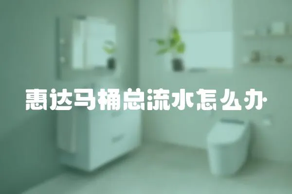 惠達馬桶總流水怎么辦