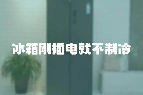 冰箱剛插電就不制冷