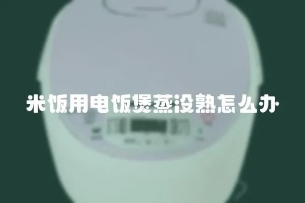 米飯用電飯煲蒸沒熟怎么辦