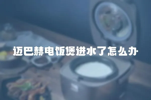 邁巴赫電飯煲進水了怎么辦