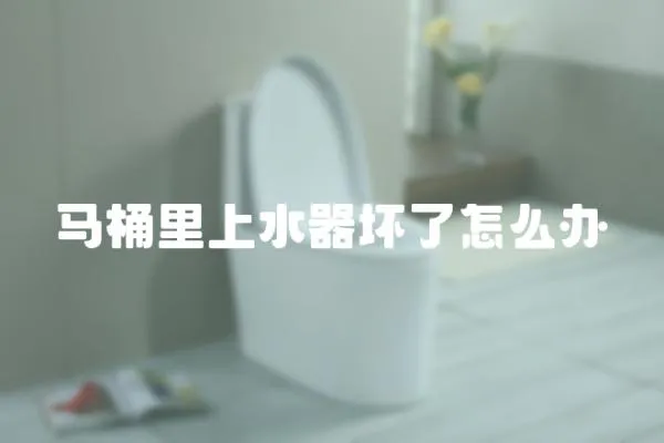 馬桶里上水器壞了怎么辦