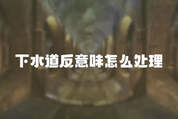 下水道反意味怎么處理