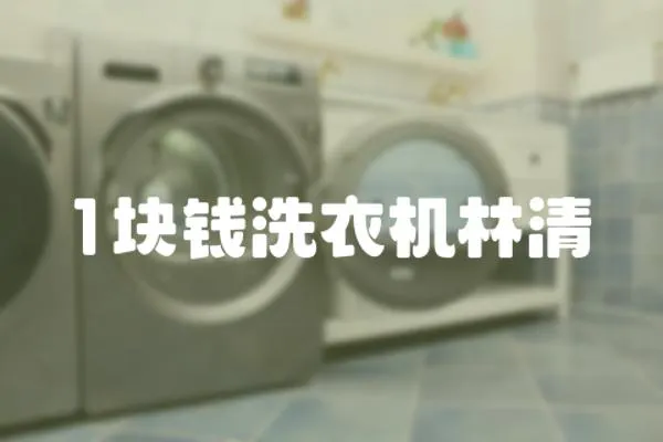 1塊錢洗衣機(jī)林清