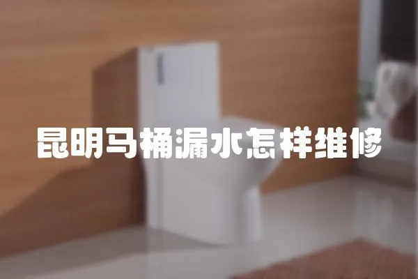 昆明馬桶漏水怎樣維修