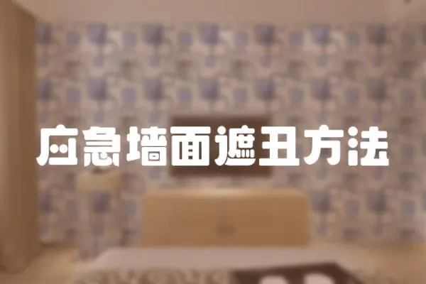 應急墻面遮丑方法