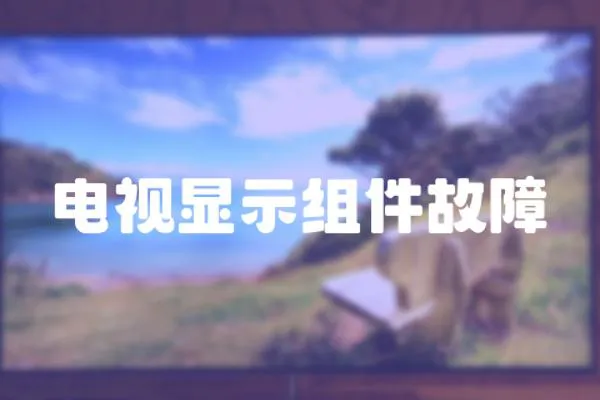 電視顯示組件故障