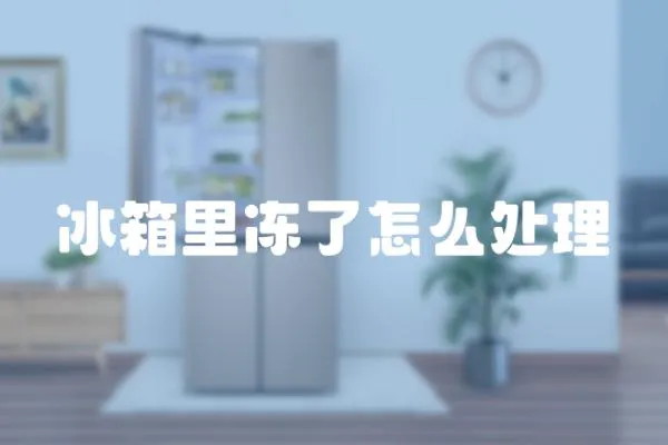 冰箱里凍了怎么處理