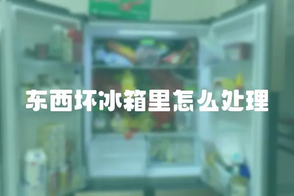 東西壞冰箱里怎么處理