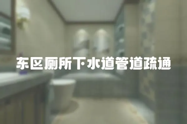 東區廁所下水道管道疏通