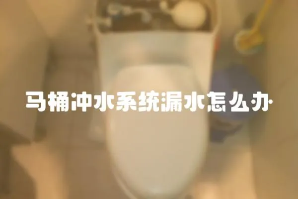 馬桶沖水系統漏水怎么辦