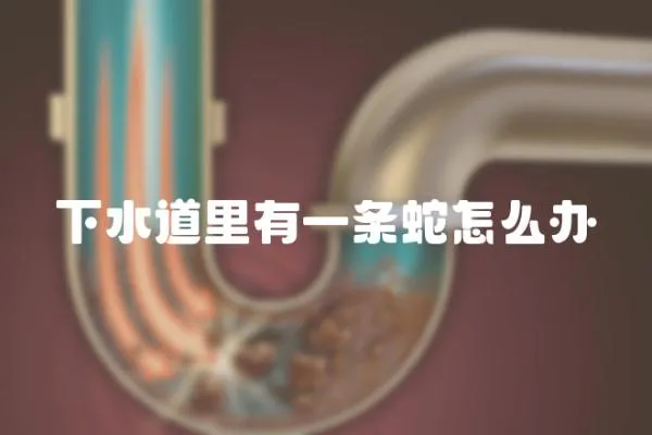 下水道里有一條蛇怎么辦