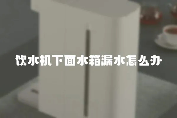 飲水機下面水箱漏水怎么辦