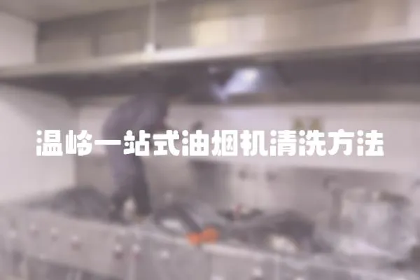 溫嶺一站式油煙機清洗方法