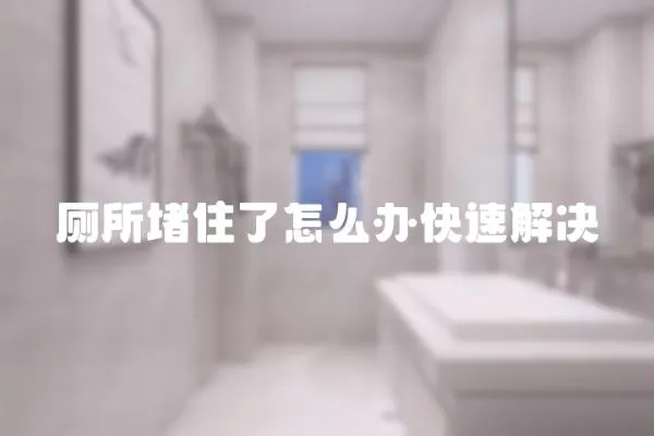 廁所堵住了怎么辦快速解決
