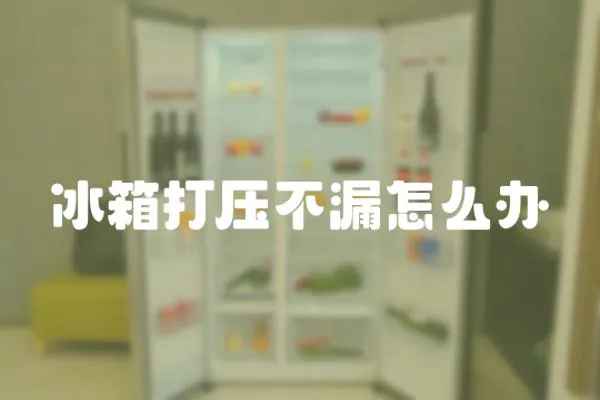 冰箱打壓不漏怎么辦