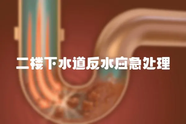 二樓下水道反水應急處理