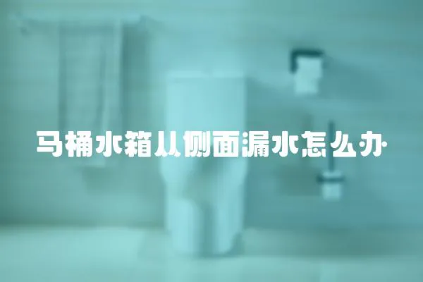 馬桶水箱從側面漏水怎么辦