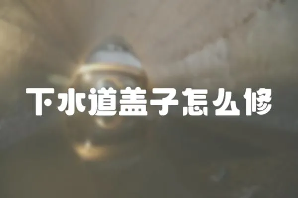 下水道蓋子怎么修
