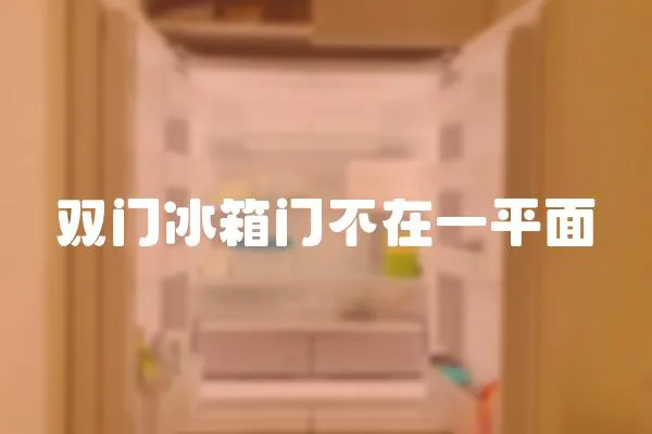 雙門冰箱門不在一平面
