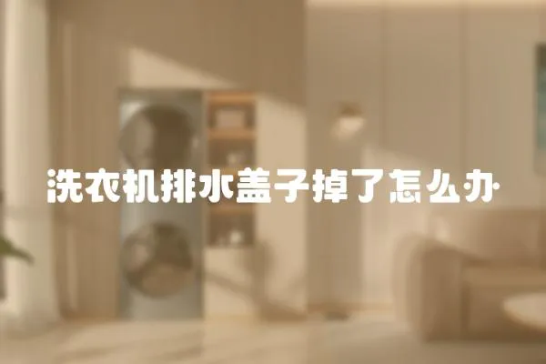 洗衣機排水蓋子掉了怎么辦