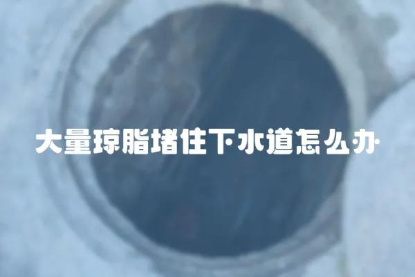 大量瓊脂堵住下水道怎么辦