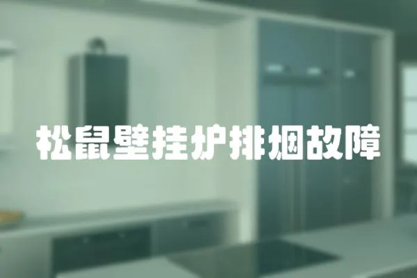 松鼠壁掛爐排煙故障
