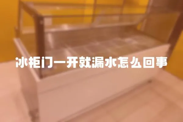 冰柜門一開就漏水怎么回事