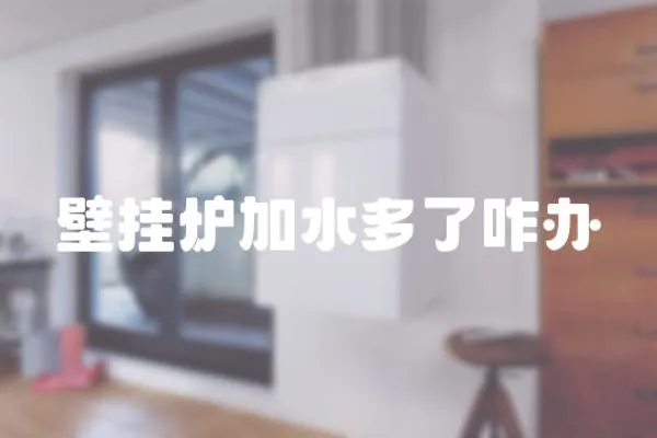 壁掛爐加水多了咋辦
