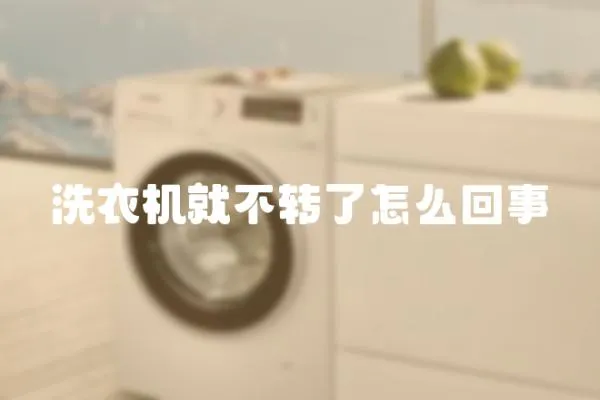 洗衣機就不轉了怎么回事