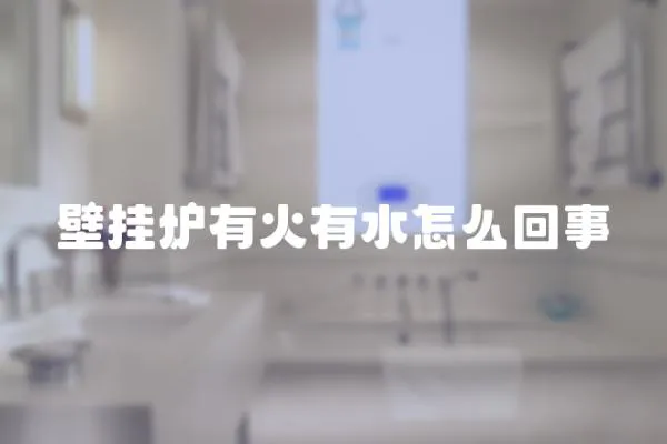 壁掛爐有火有水怎么回事