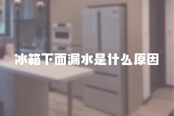 冰箱下面漏水是什么原因