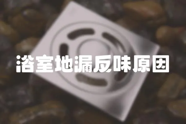 浴室地漏反味原因