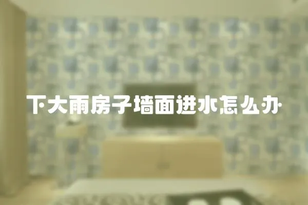 下大雨房子墻面進水怎么辦