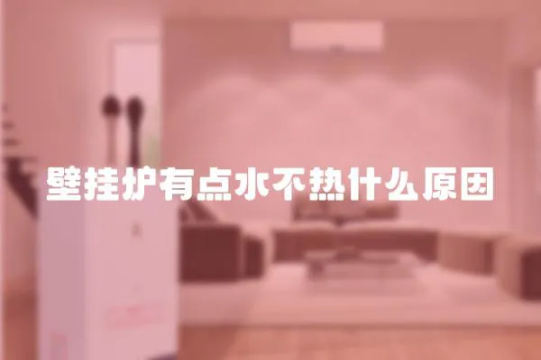 壁掛爐有點(diǎn)水不熱什么原因