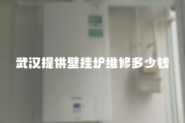 武漢提供壁掛爐維修多少錢