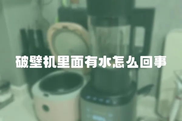 破壁機里面有水怎么回事