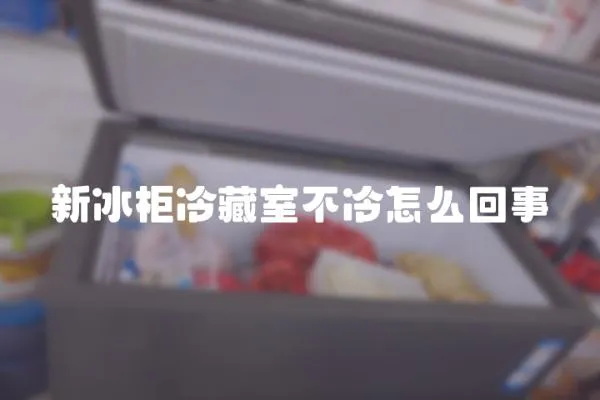 新冰柜冷藏室不冷怎么回事