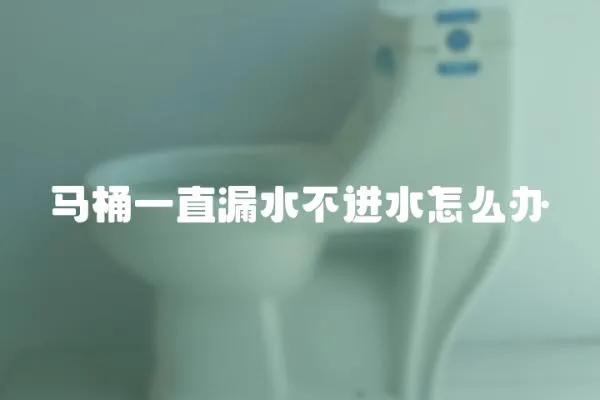馬桶一直漏水不進水怎么辦