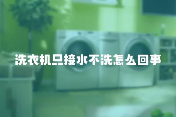 洗衣機只接水不洗怎么回事