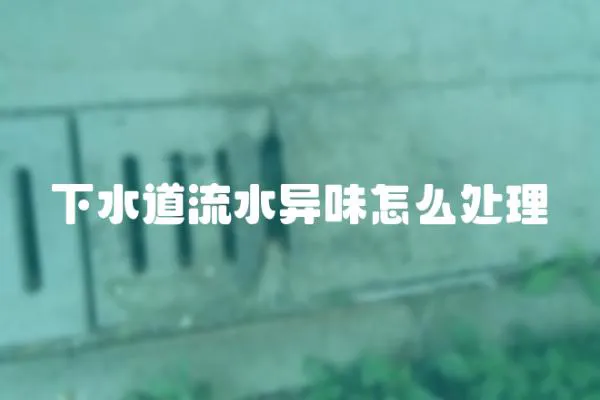 下水道流水異味怎么處理