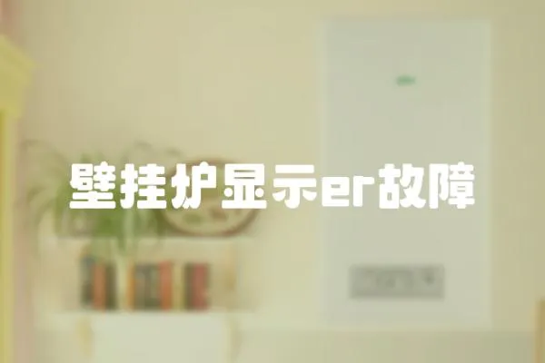 壁掛爐顯示er故障