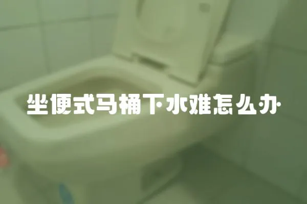 坐便式馬桶下水難怎么辦