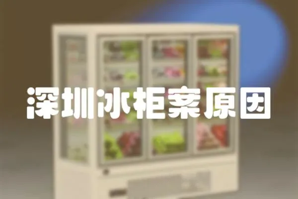 深圳冰柜案原因