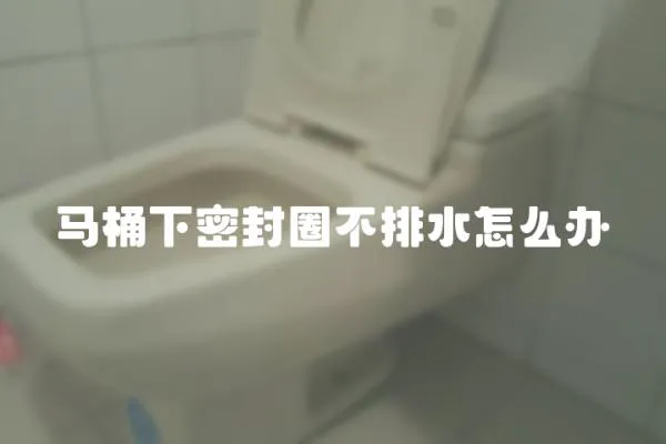 馬桶下密封圈不排水怎么辦