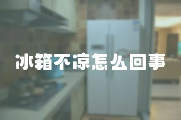冰箱不涼怎么回事