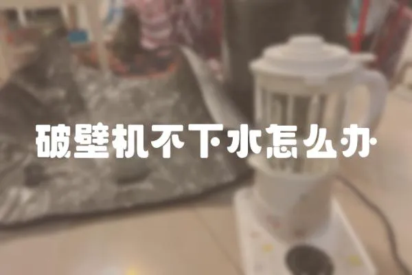 破壁機不下水怎么辦
