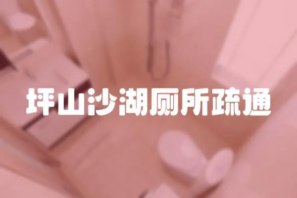 坪山沙湖廁所疏通